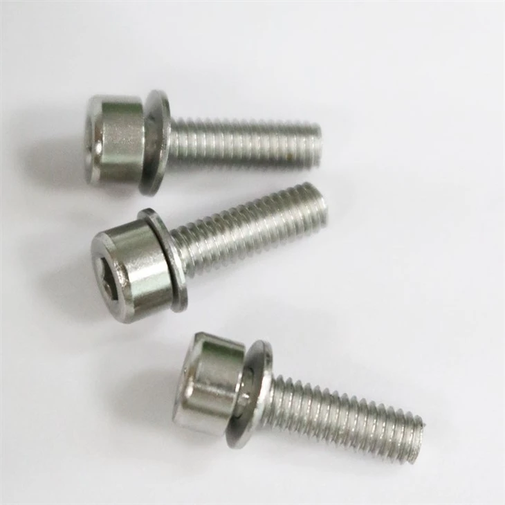 Stainless Steel Combination Screw Stainless Steel Combination Screw