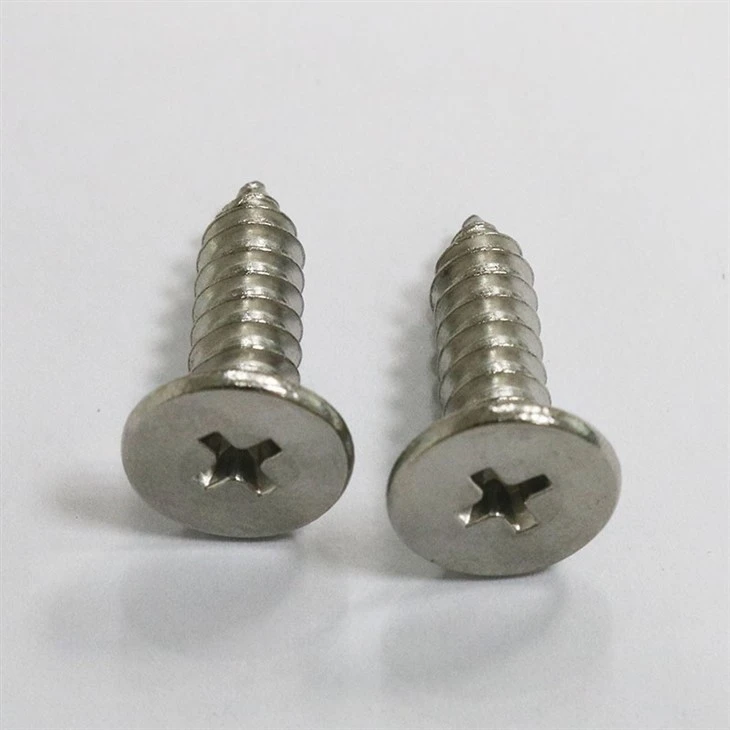tapping screw (4)
